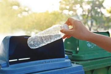 Bottle being put into recycling bank